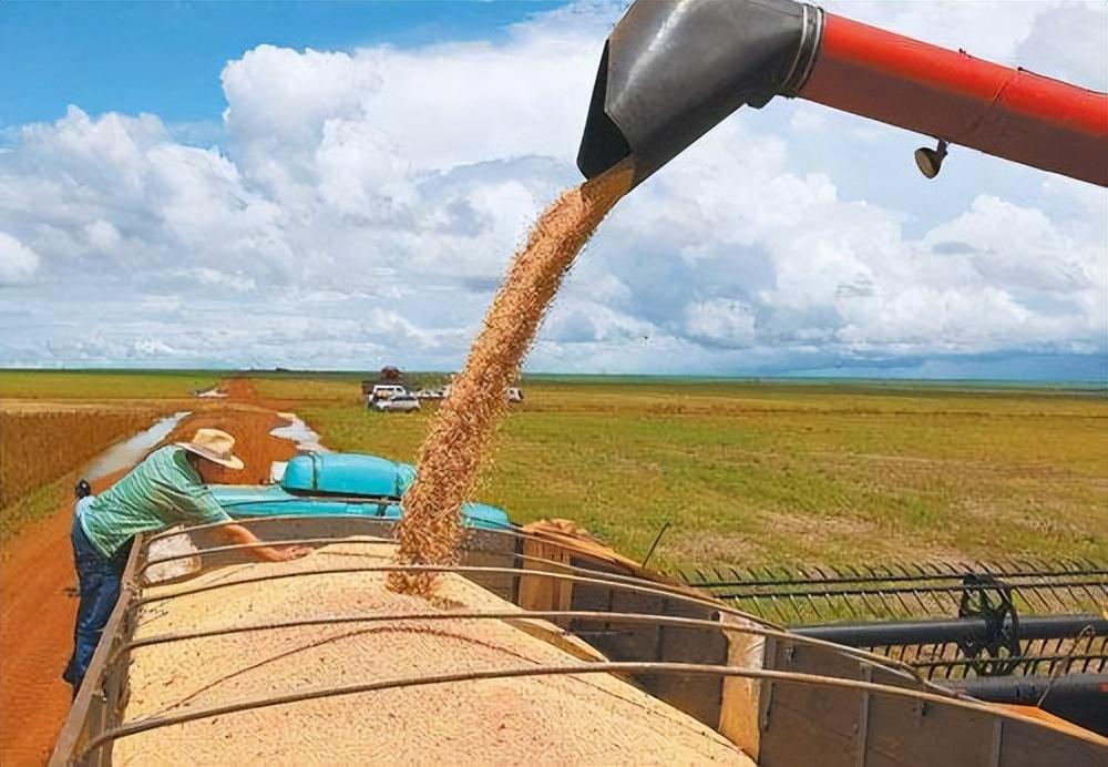 美国会不会停止对中国出口大豆,美国卡脖子最新信息