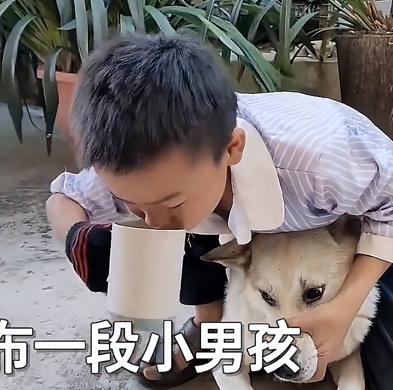 男孩喝生水取出蚂蟥,云南5岁男孩取出蚂蝗