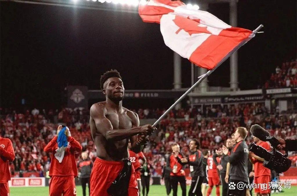 卡塔尔世界杯最大黑马,卡塔尔世界杯十大热门球队