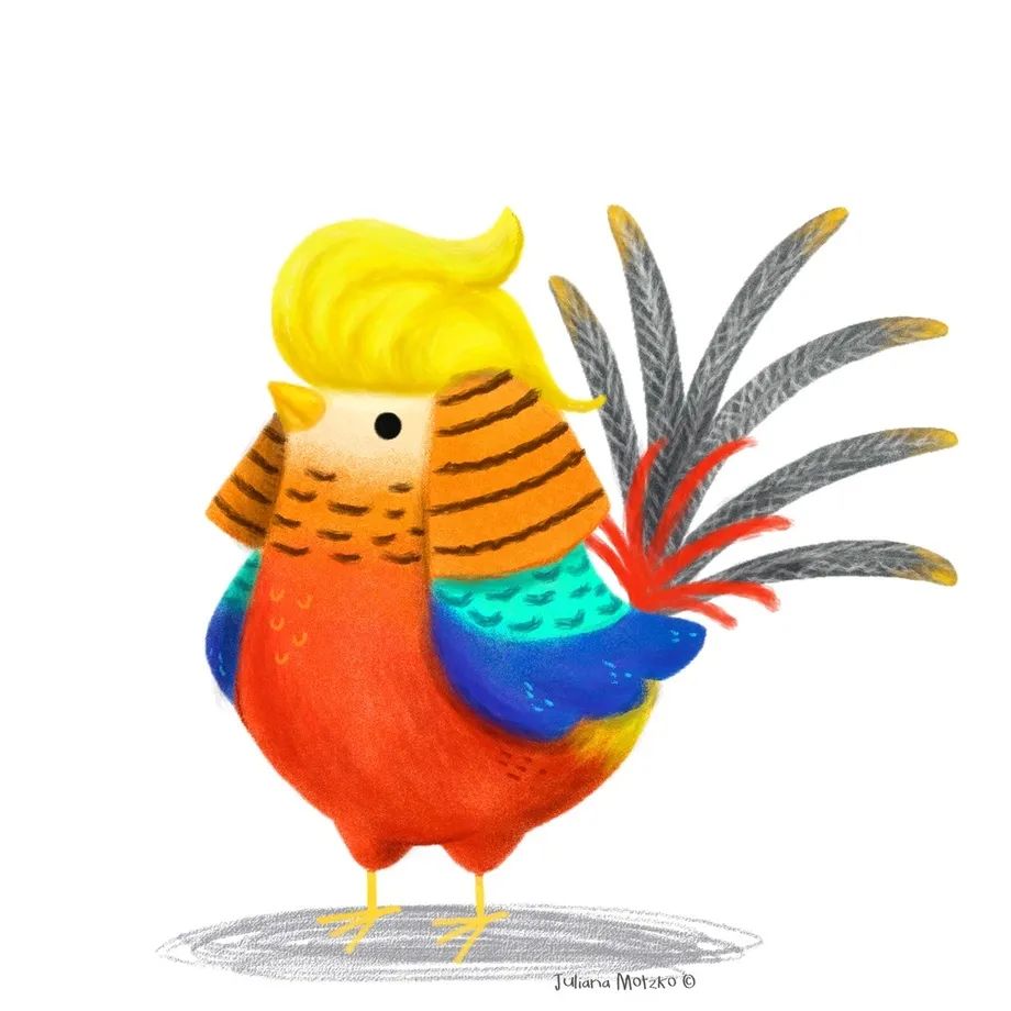 鸟类插画大全,鸟类插画艺术欣赏