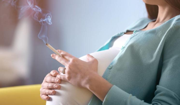 进入女性体内，没成功“受精”的精子都去了哪？这篇文章说清楚了