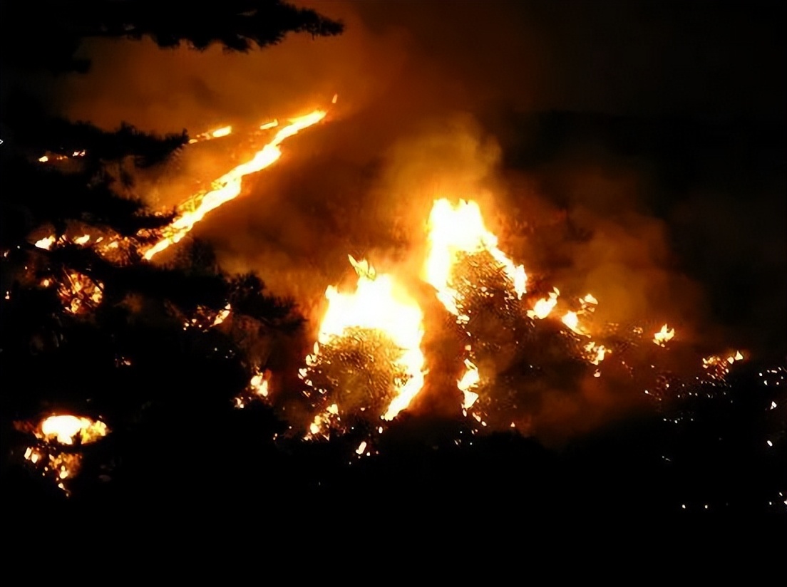 日本地图酒田市,日本酒图鉴