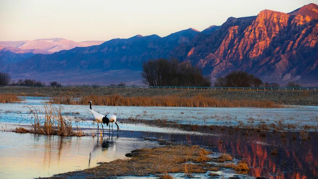 迎接党的20大美术作品,喜迎二十大乡村摄影展