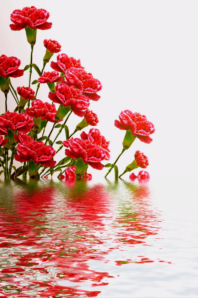 感恩母亲节祝自己节日快乐,母亲节感恩祝福词妈妈我爱你