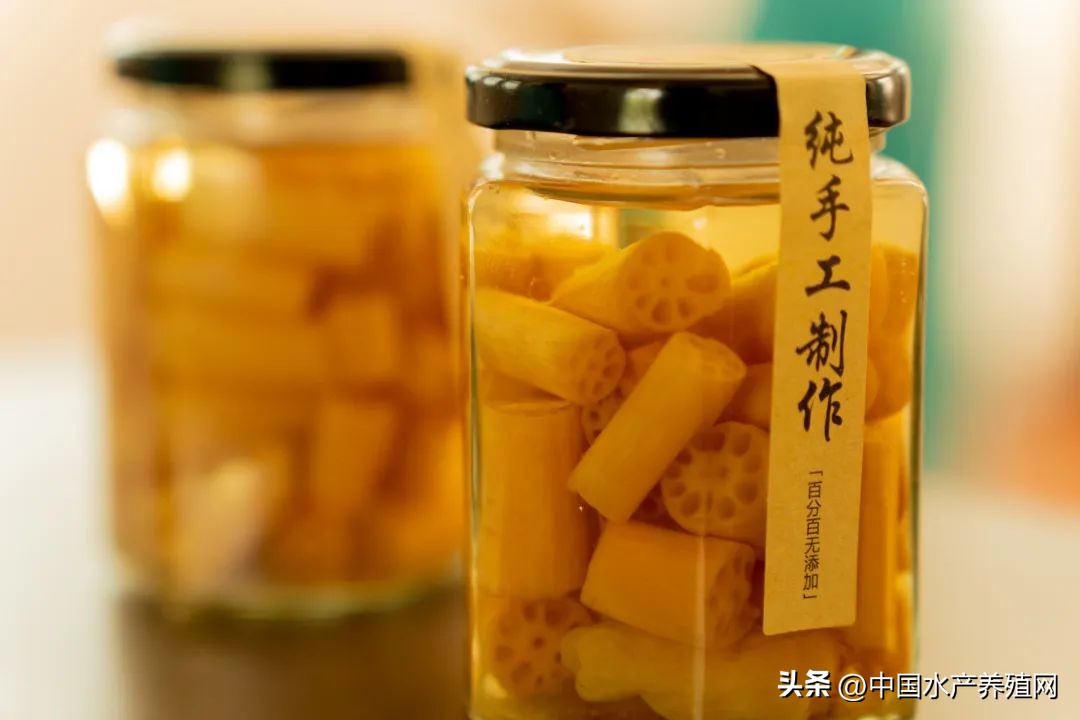 合工大食品与生物工程学院实践团：当涂凝聚青年力量赋能乡村振兴