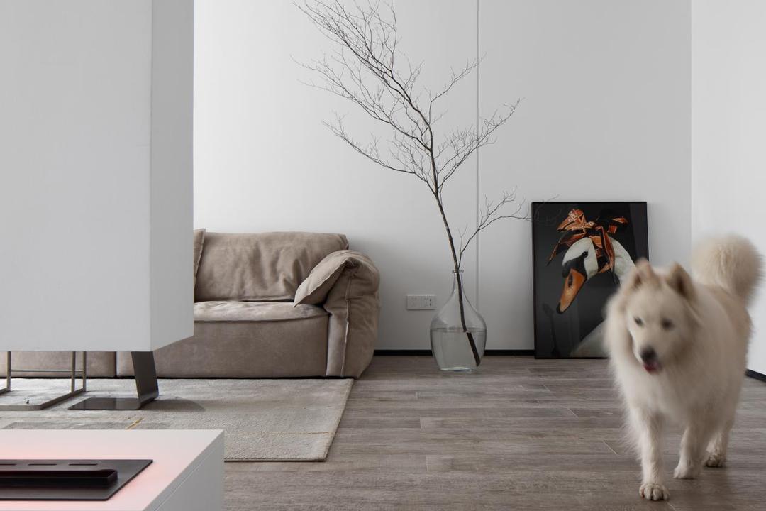 为什么越来越多的人都喜欢极简风,极简风真的省钱也能装出效果吗