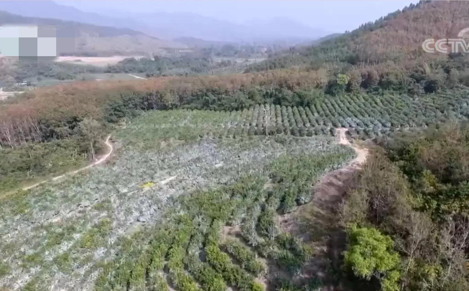 鎵垮寘鑽掑北鐪熷疄鎯呭喌,鑽掑北鑽掑湴鍒╃敤鑷村瘜