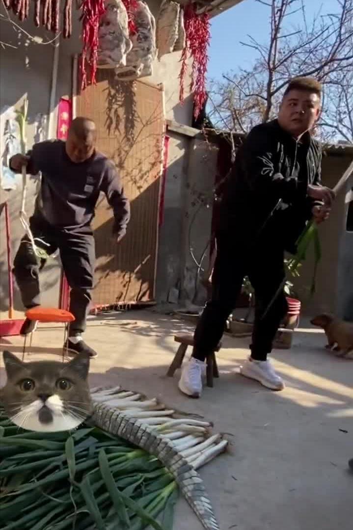 郑州李先生抖音美食,郑州李先生吃海鲜大咖