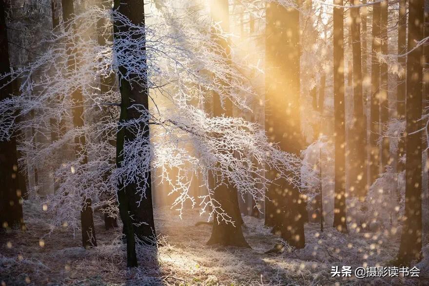 2018年度最佳摄影照片,创造出令人惊叹的自然摄影照片