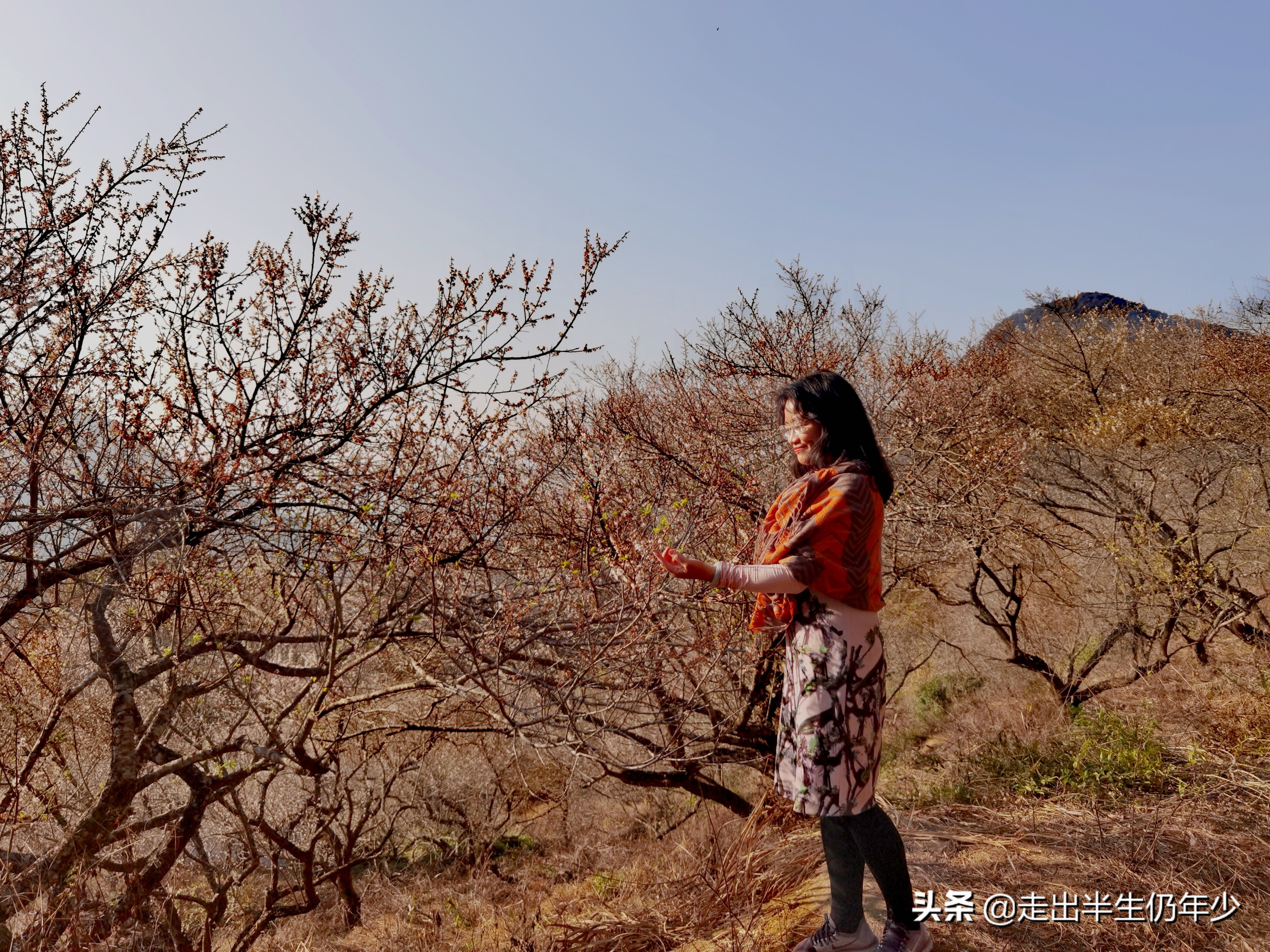 惠东梁化梅园今天开放吗,惠东旅游景点梁化梅园