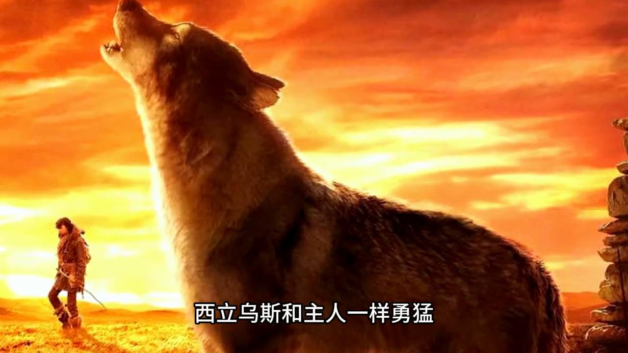 猎户座，令人唏嘘不已的神话。每一颗星，都是生命与爱的体现。