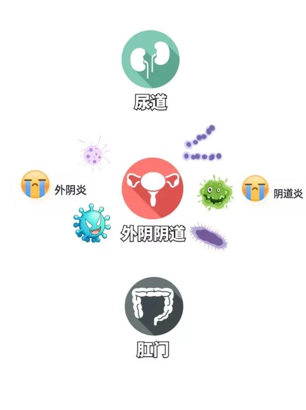 早上醒来外阴瘙痒是什么病,外阴瘙痒坠痛是什么病