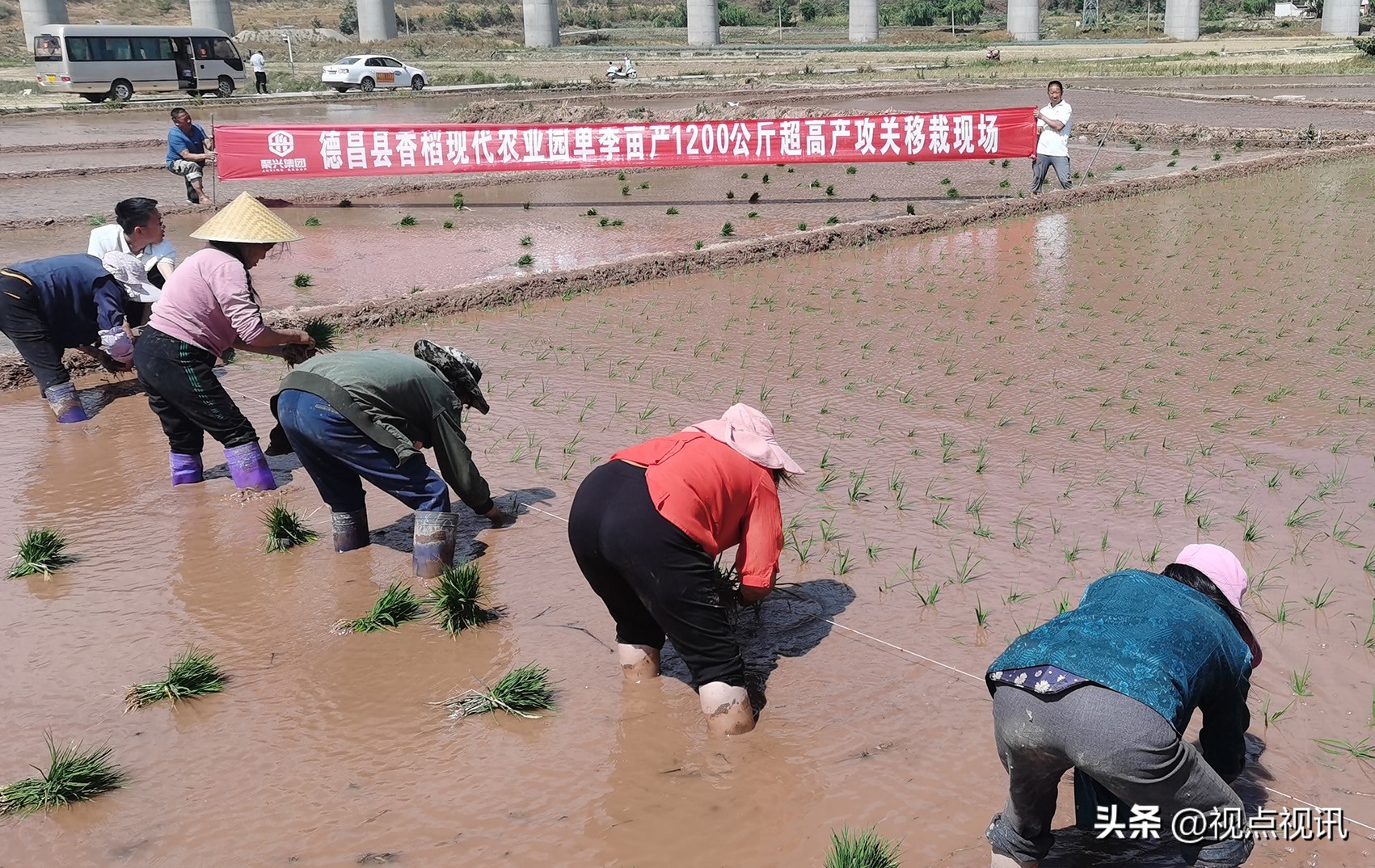 走进西吉看乡村振兴,乡村振兴看进贤罗溪