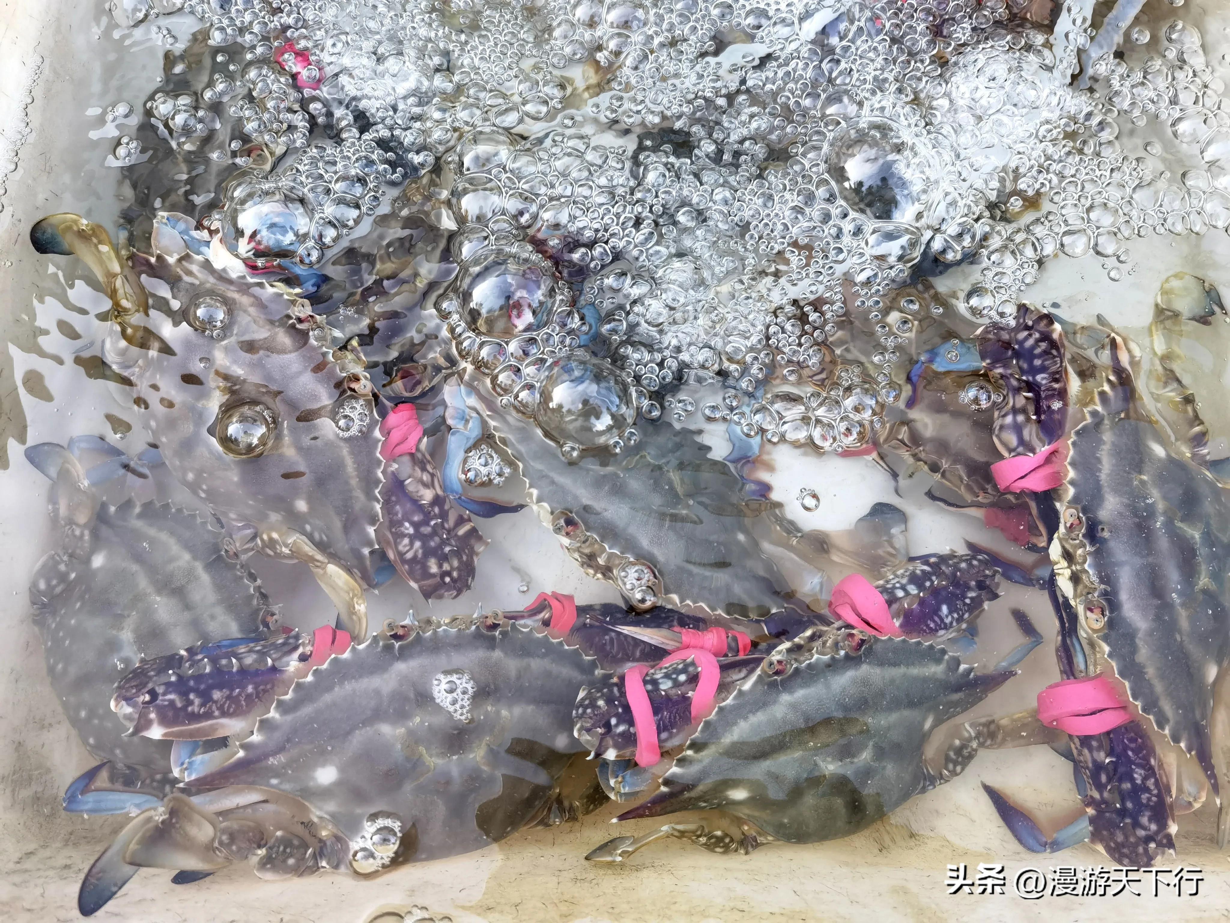 到威海吃海鲜哪里合算,在威海吃海鲜都去哪儿