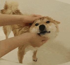 脸起皮脱屑干燥紧绷,冬天皮肤起皮干燥有碎屑怎么保湿