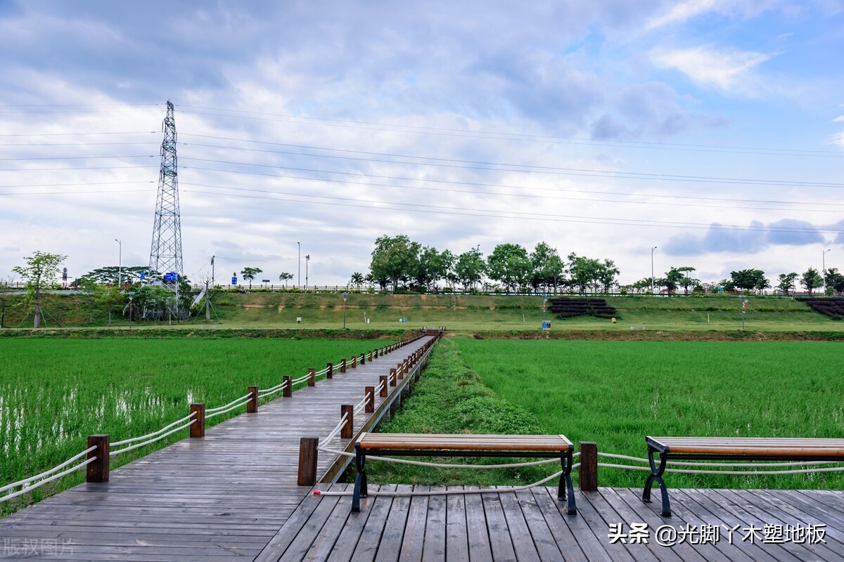 常用实木家具木材种类比较,户外防腐木的木板有哪些种类