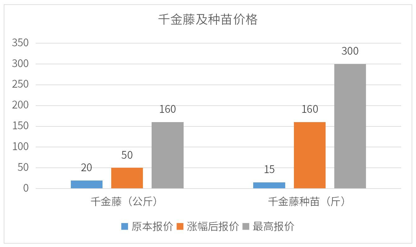 千金藤素是否可以抵抗新冠病毒,千金藤可以治疗新冠病毒