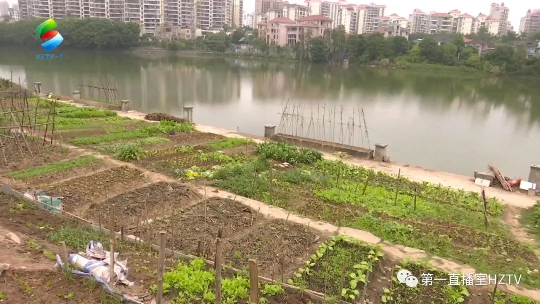 煞风景大煞风景,煞风景