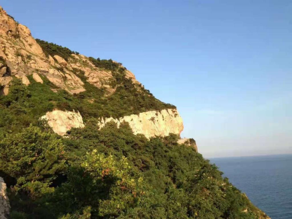 夏游山全部视频,夏天去灵山岛好吗