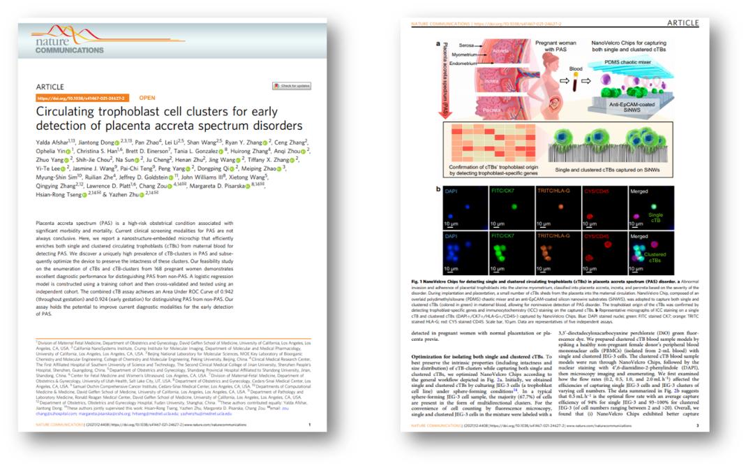 精读外刊《自然》破解科技英语论文：“优化的NanoVelcro芯片”