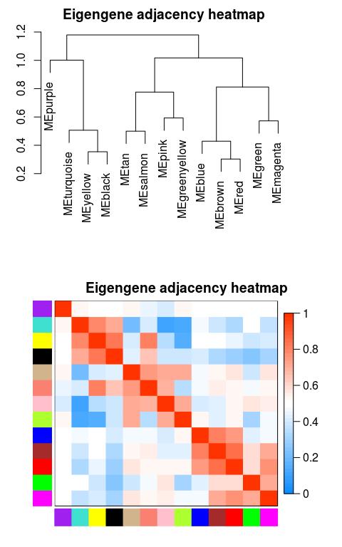 wcgna分析教程,wgcna原理