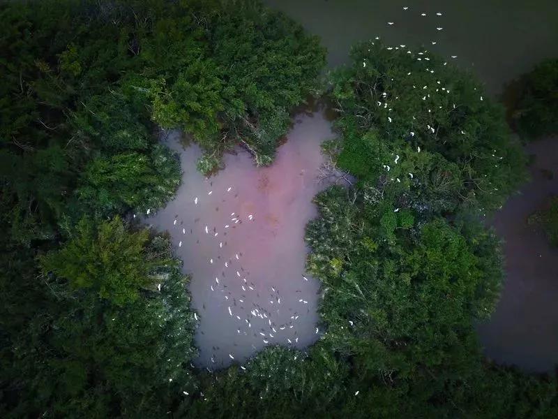 《误杀2》取景地、撑起香港娱乐圈的半壁江山，这个小城又火了