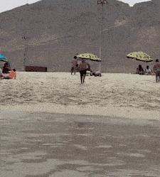 和女网友奔现靠谱吗,被女网友骗了钱怎么办