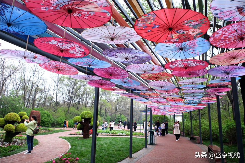 沈阳世博园金秋美景,沈阳世博园一日游详细攻略