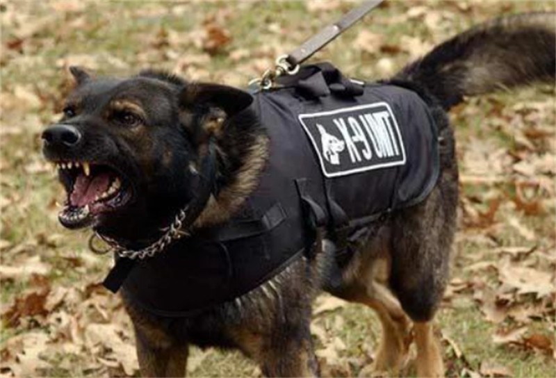 双桥流氓案件,双桥老流氓杀人案纪实