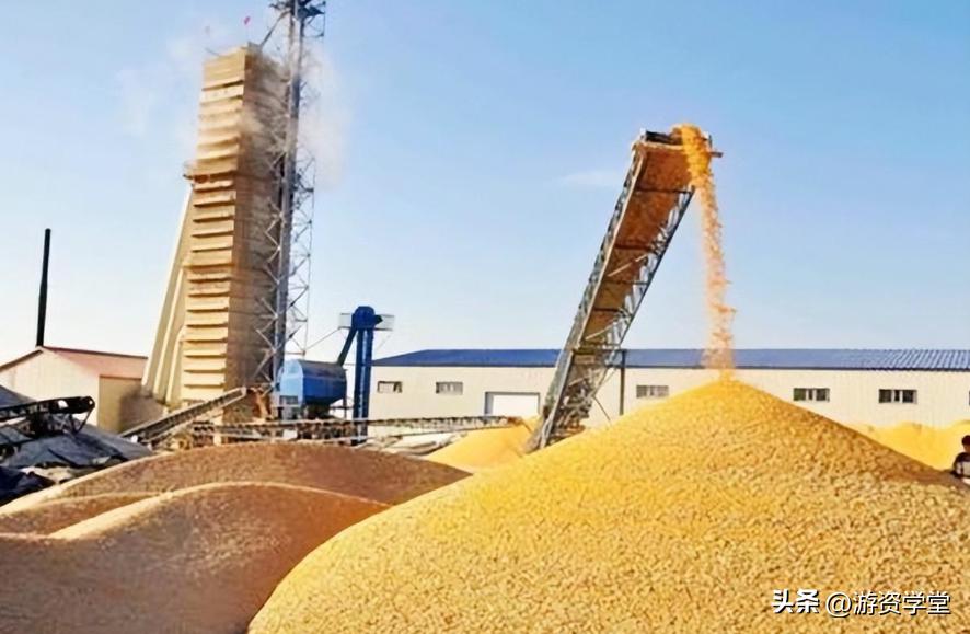 巴西大豆出口贸易现状及对策,巴西大豆对华出口