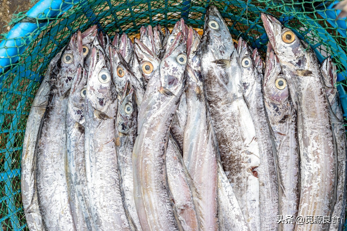 一样是鲈鱼为什么价格不一样,同样是带鱼