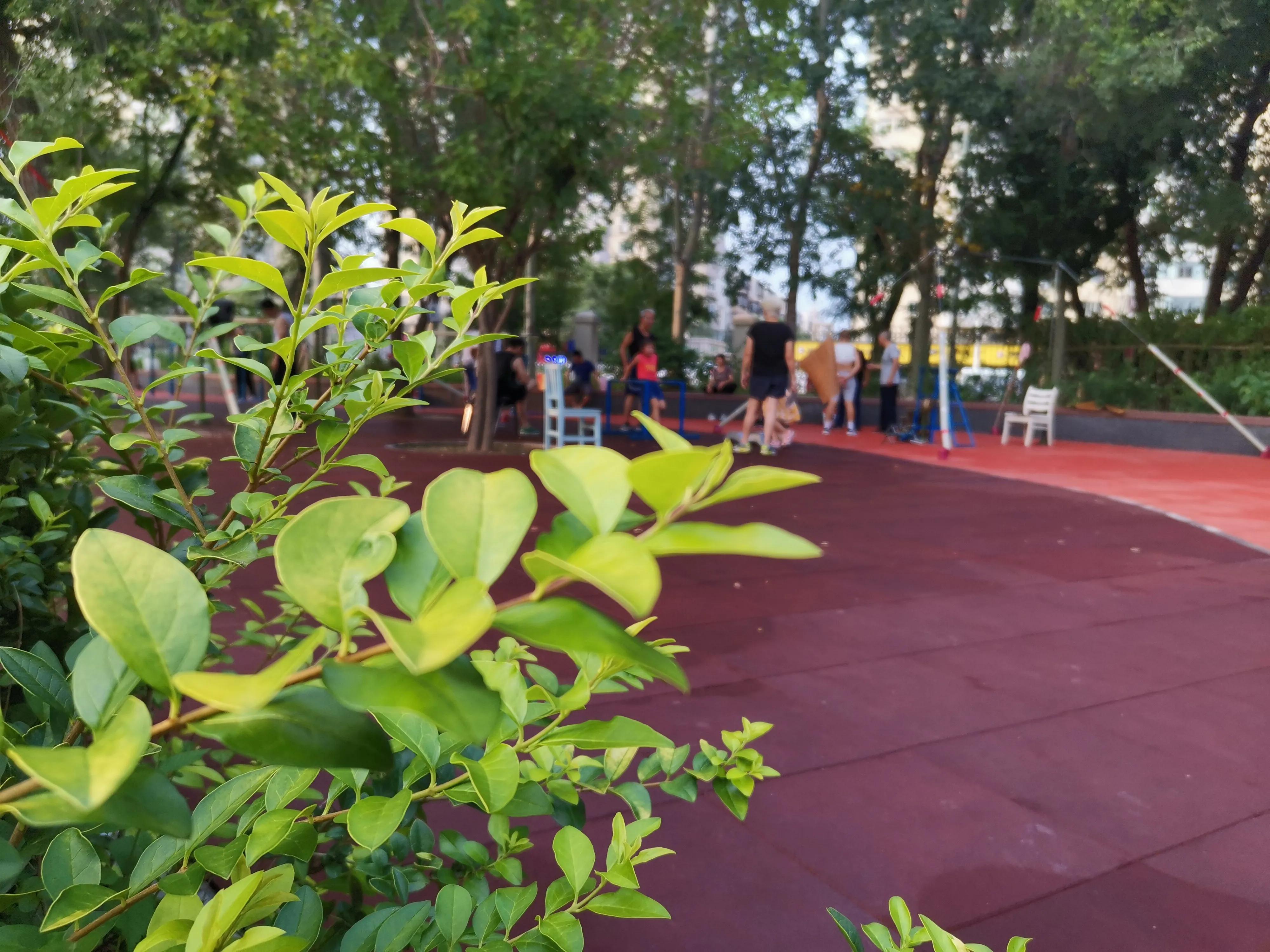 2022年天津市公园健身大会通知,天津全民健身中心