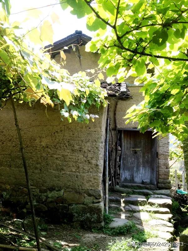 宁德市溪塔葡萄沟旅游景区,穆云乡溪塔葡萄沟