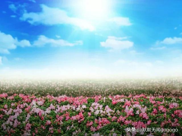 回首过往，他才是最爱我的男人