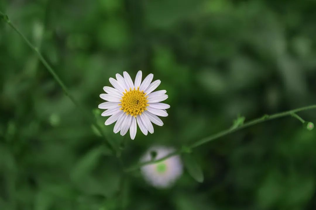 普通人想致富最现实的方法,普通人致富方法论