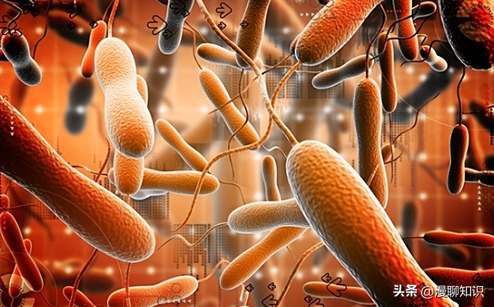 b族链球菌胎儿感染的概率多少,b群链球菌阴性孕妇