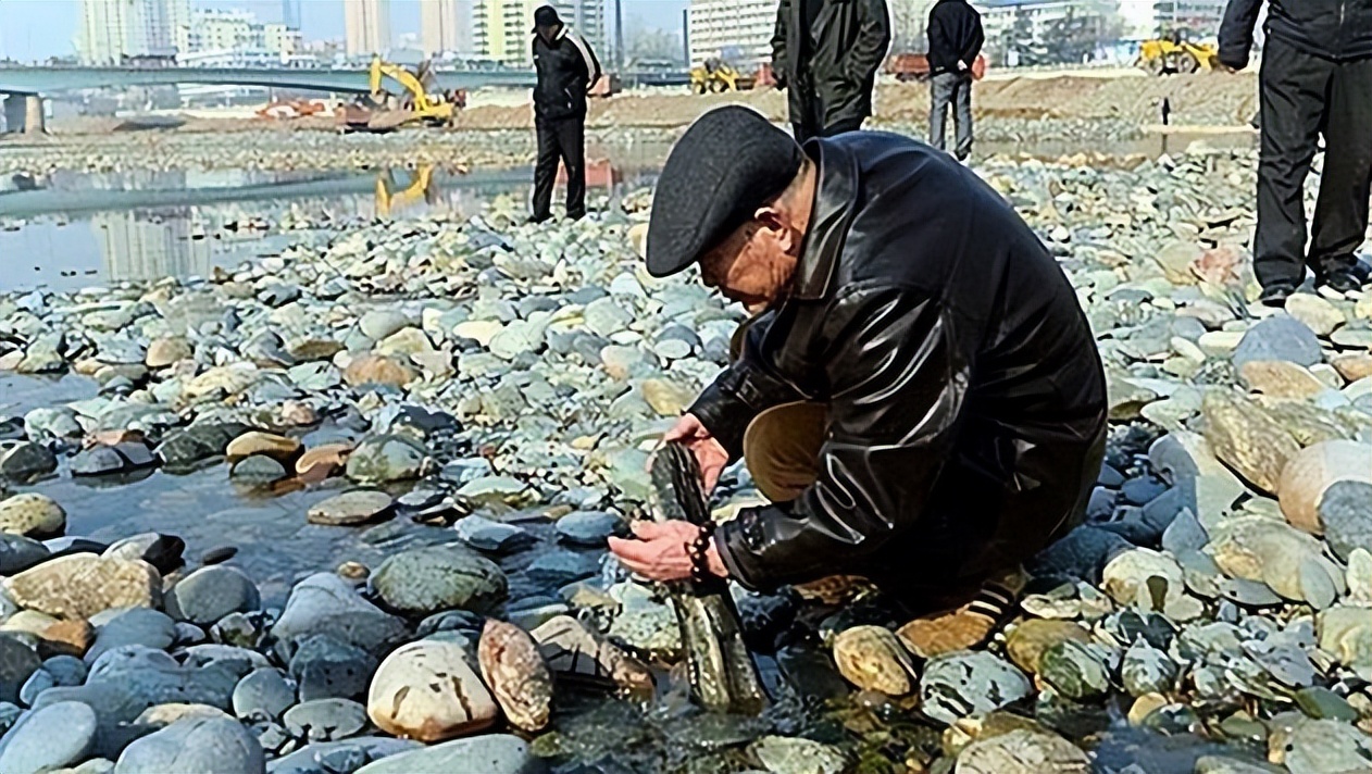 中国最有名的奇石村,中国第一奇石灵璧石