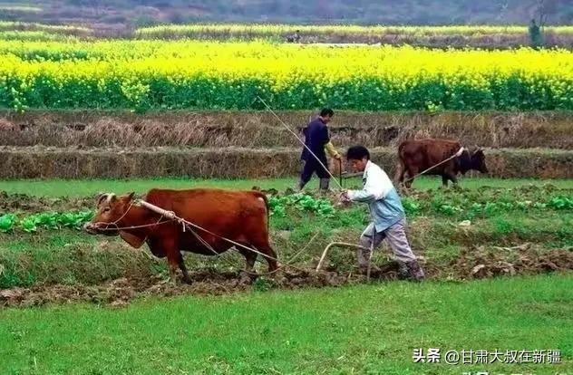 谷雨这天该注意什么,老一辈对于谷雨的说法