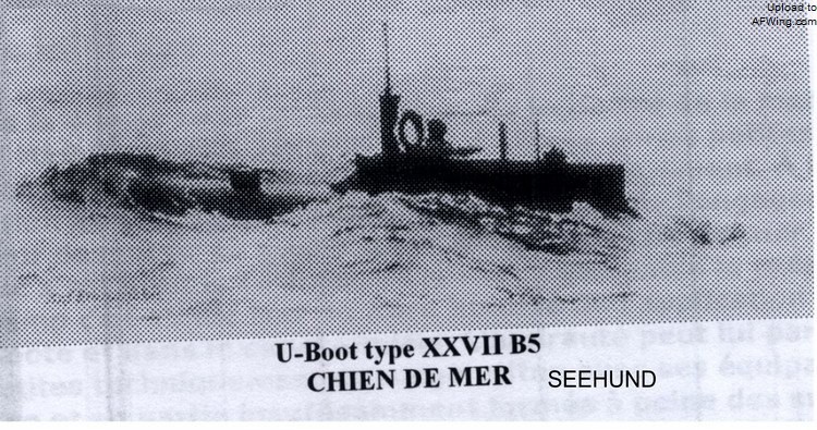 德国海军王牌潜艇,海豹的演化史