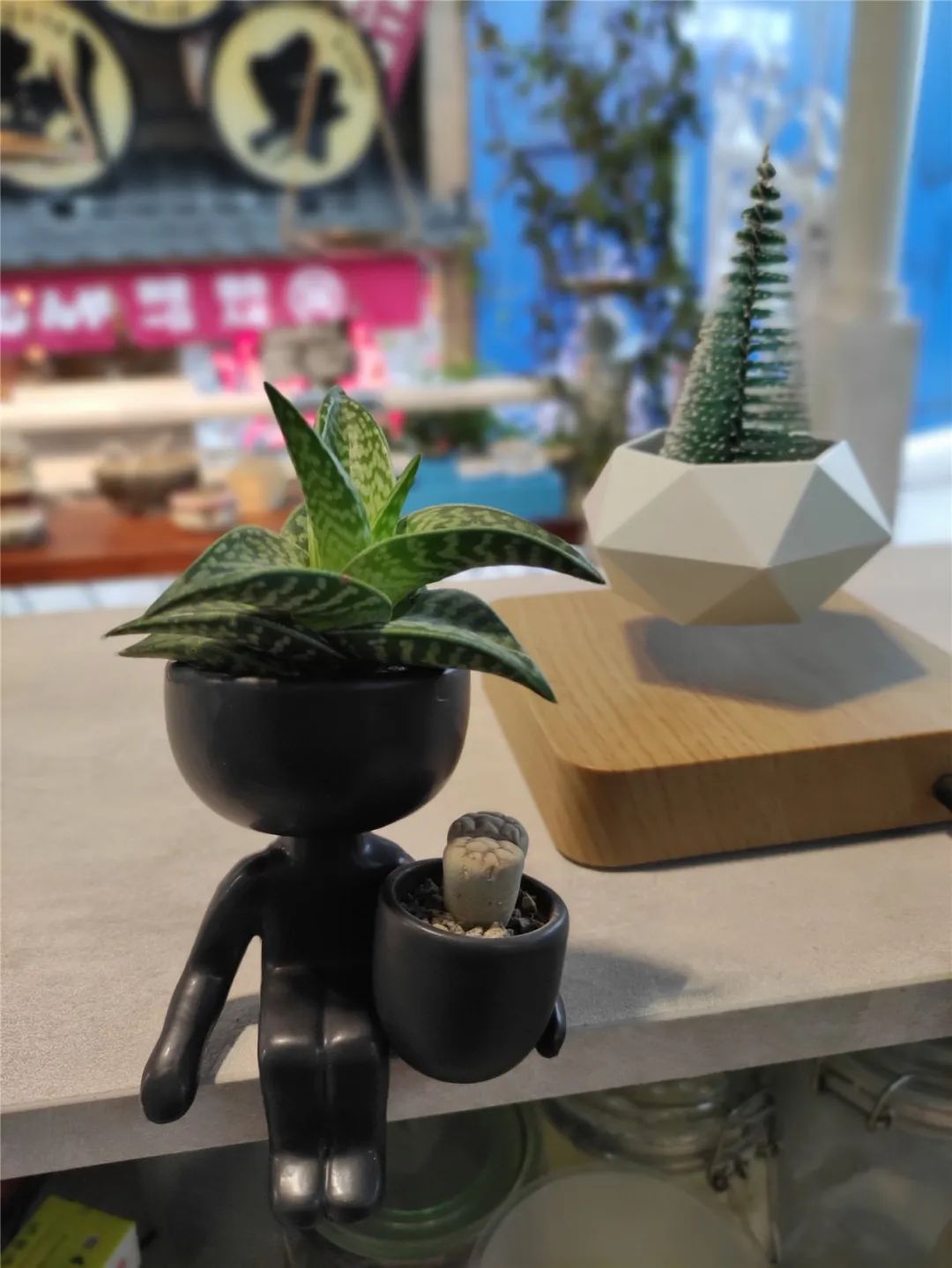 她只想回归自然，开花店却一年净利润50多万元——南宁小姐姐将理想照进了现实