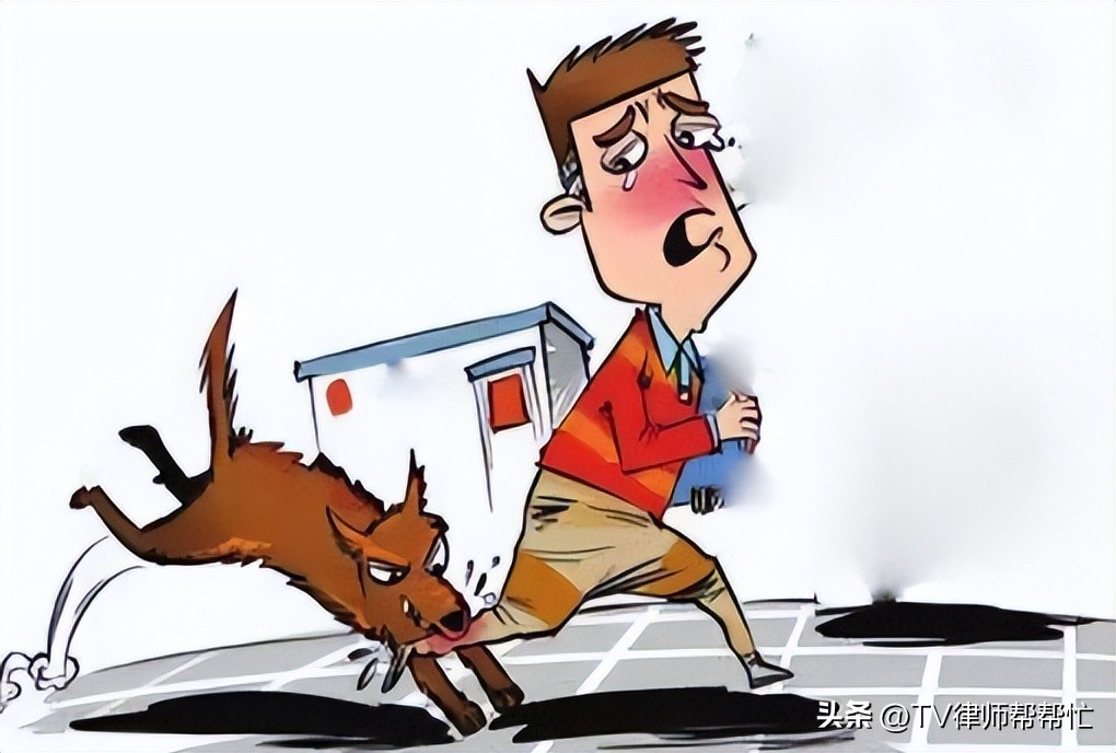 小偷入室偷窃被狗狗咬死,小偷偷东西被狗咬死狗主人有责任