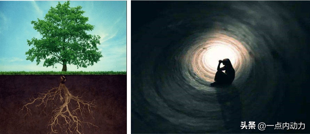 一棵没有根的树,一棵没有树根的树寓意
