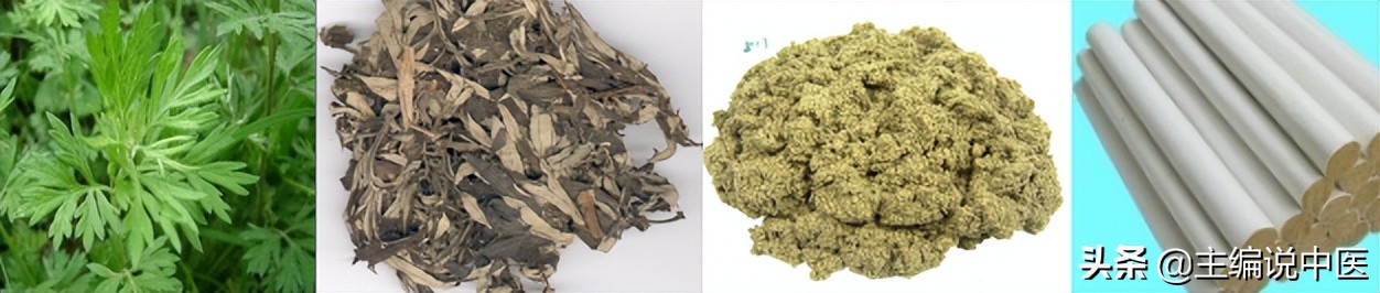 端午节艾灸哪些穴位,端午节做艾灸的好处