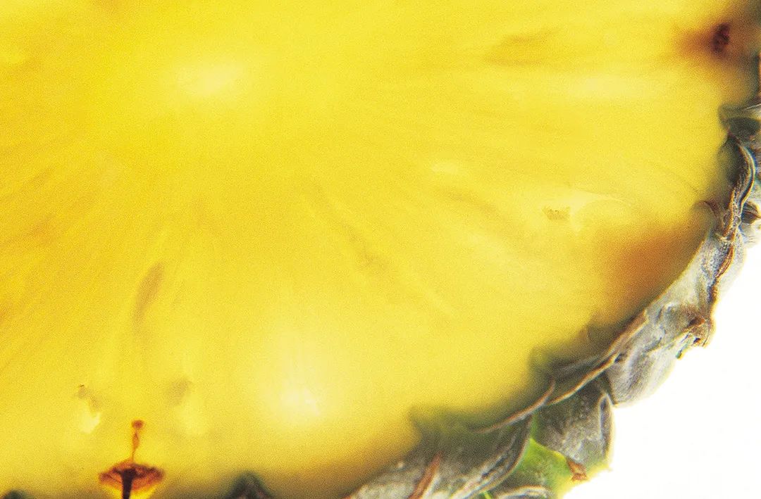 现在为什么菠萝很少凤梨很多,市场上的菠萝和凤梨怎么区分