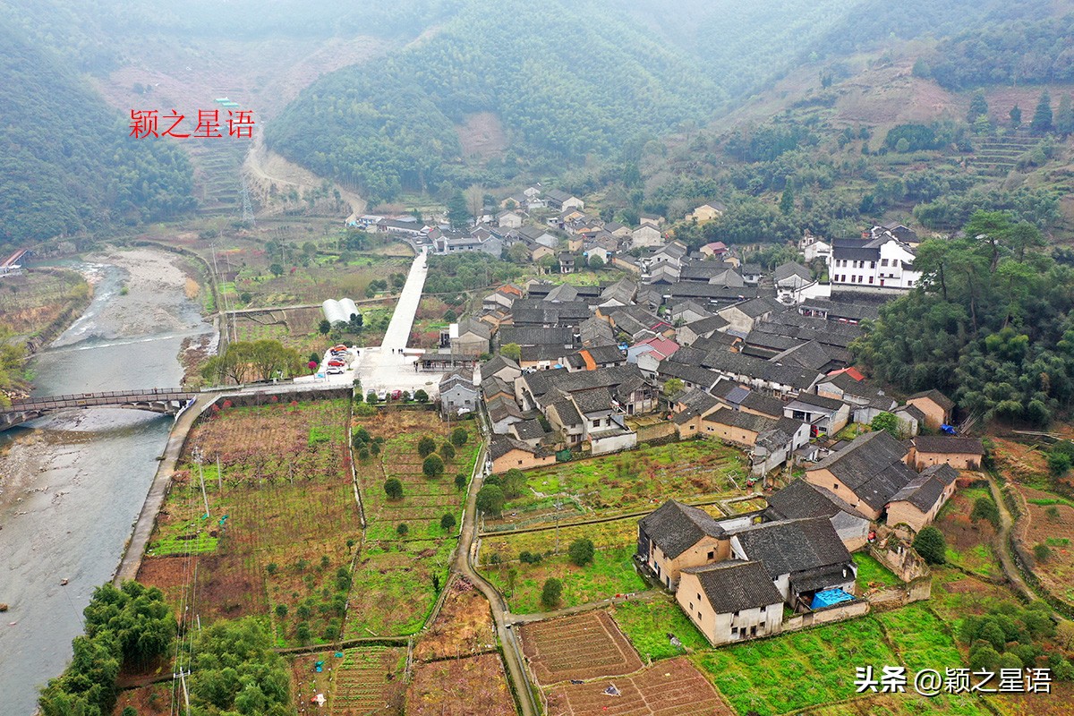 绝美千年银杏,中国最大的银杏景区