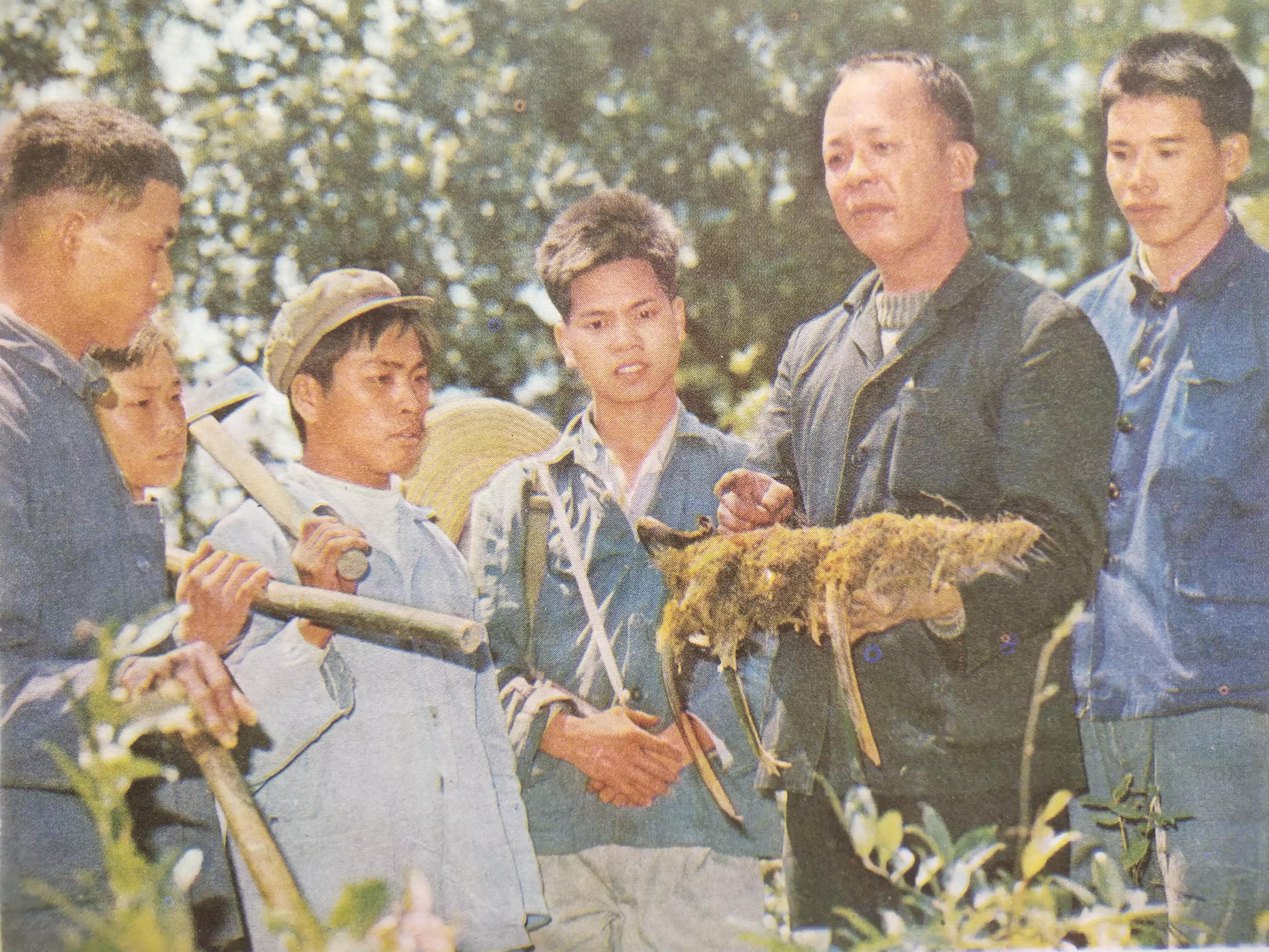 怀旧一下经典图片,怀旧经典图片欣赏