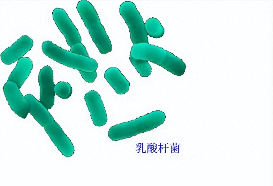 上了年纪婚姻痛苦怎么办,上了年纪的感情生活