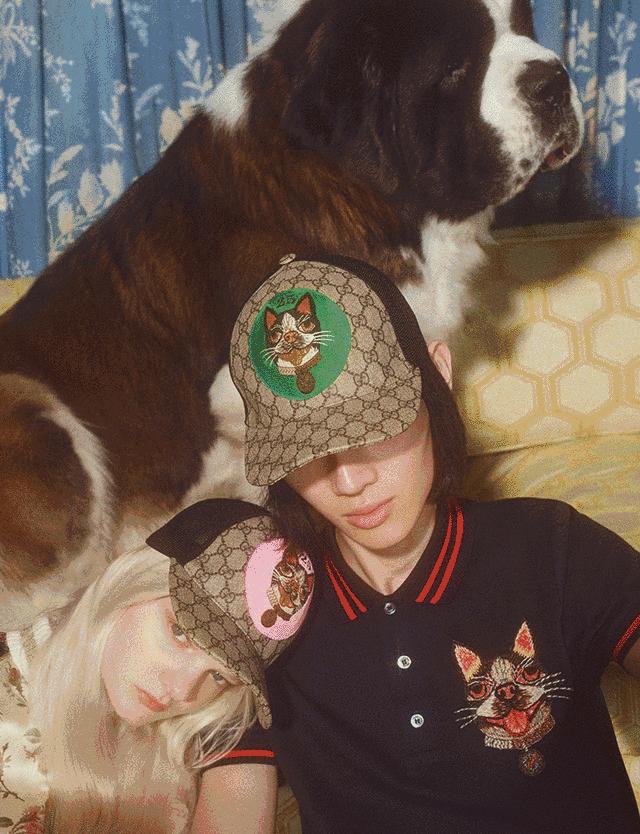 不太掉毛的巨型犬,又聪明又可爱又凶的大型犬