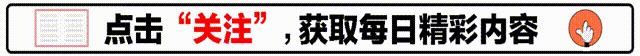 桃花运电影解析,桃花运深度解析