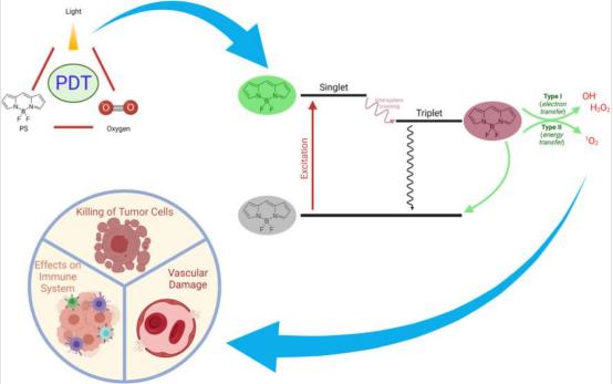 胆管癌光动力治疗,胆管癌做了ptcs还有治愈的可能吗